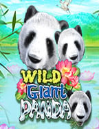 ตอบ คำถาม รับ เครดิต ฟรี พร้อมสูตรลับจากเซียนสล็อต